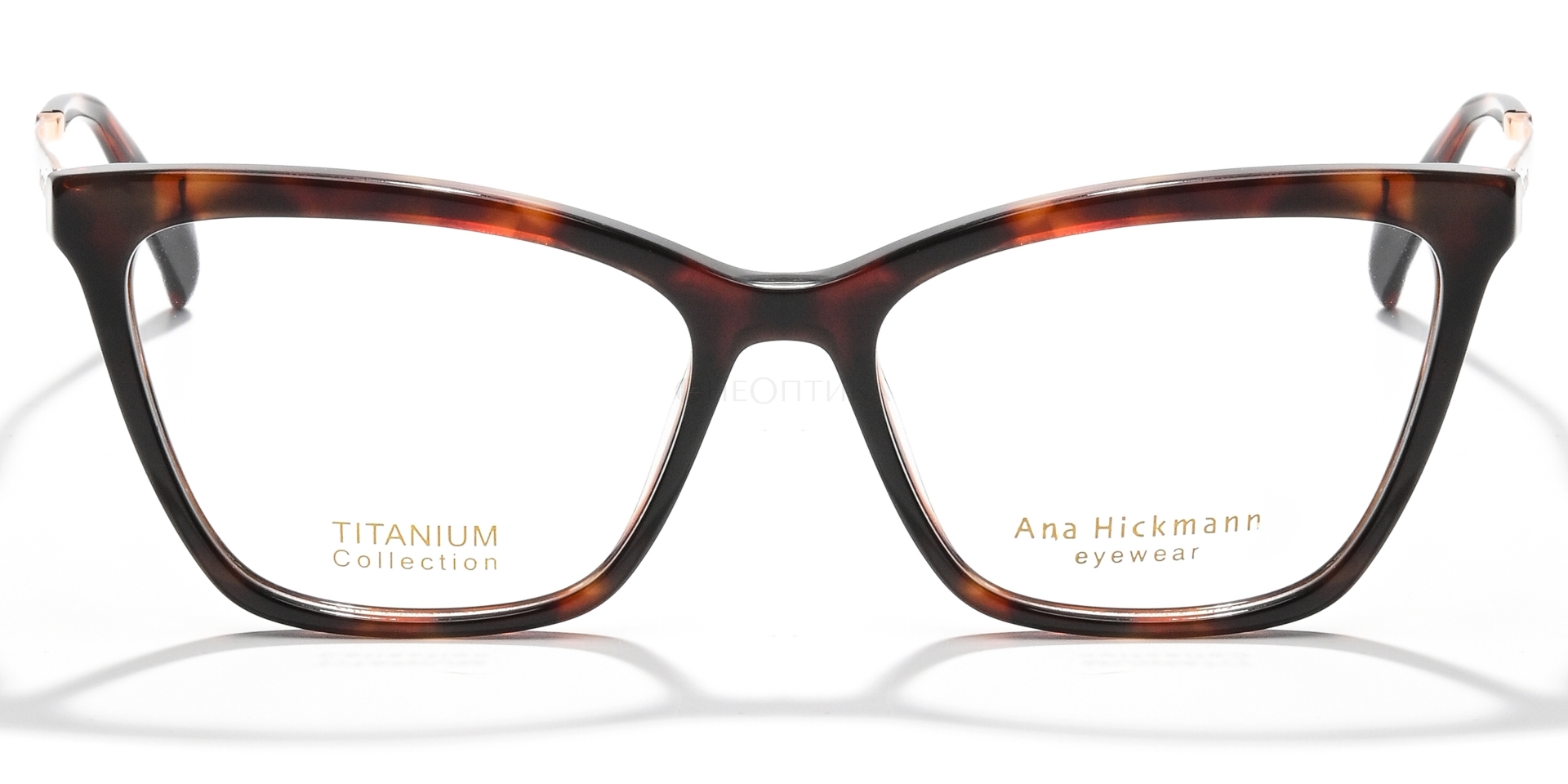 Оправа Ana Hickmann AH6527T G21