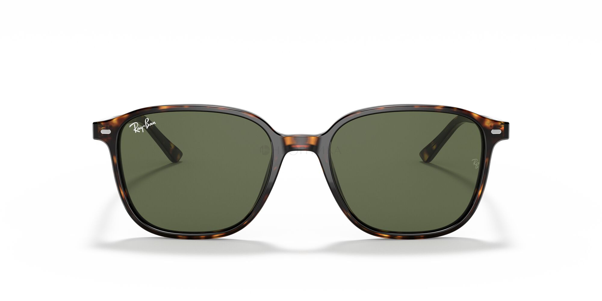 Солнцезащитные очки Ray-Ban Leonard 0RB2193 902/31 53